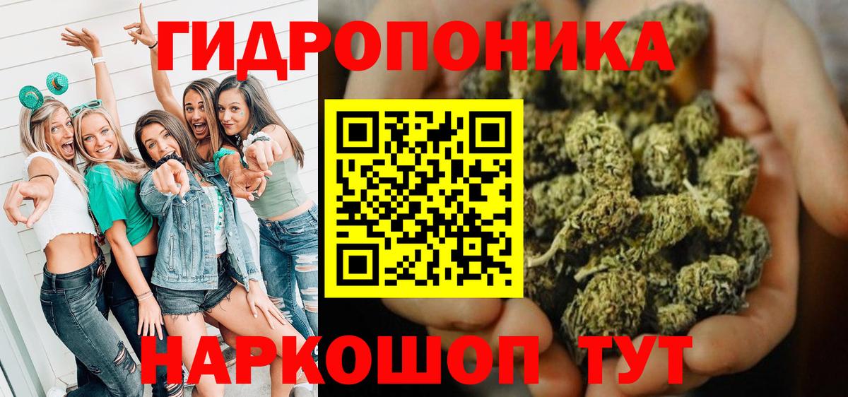 Канабис план  Вход с VPN  Гусь-Хрустальный  Бошки марихуана Bruce Banner  Канабис LSD WEED  Канабис сатива 